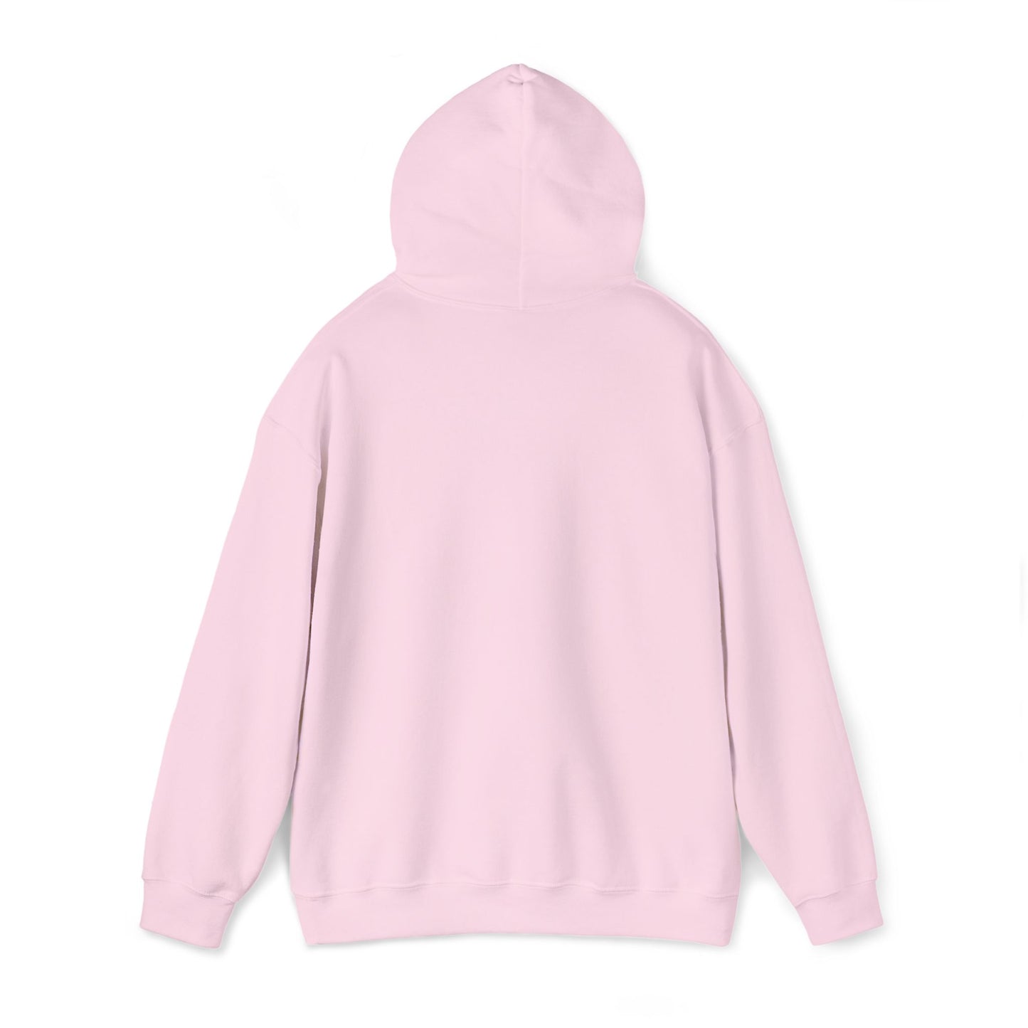 Tsalack Express_2025_Unisex Heavy Blend™ Hooded Sweatshirt